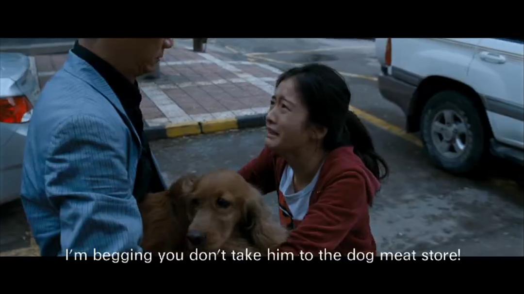 狗十三说脏话,狗十三到底有多可怕