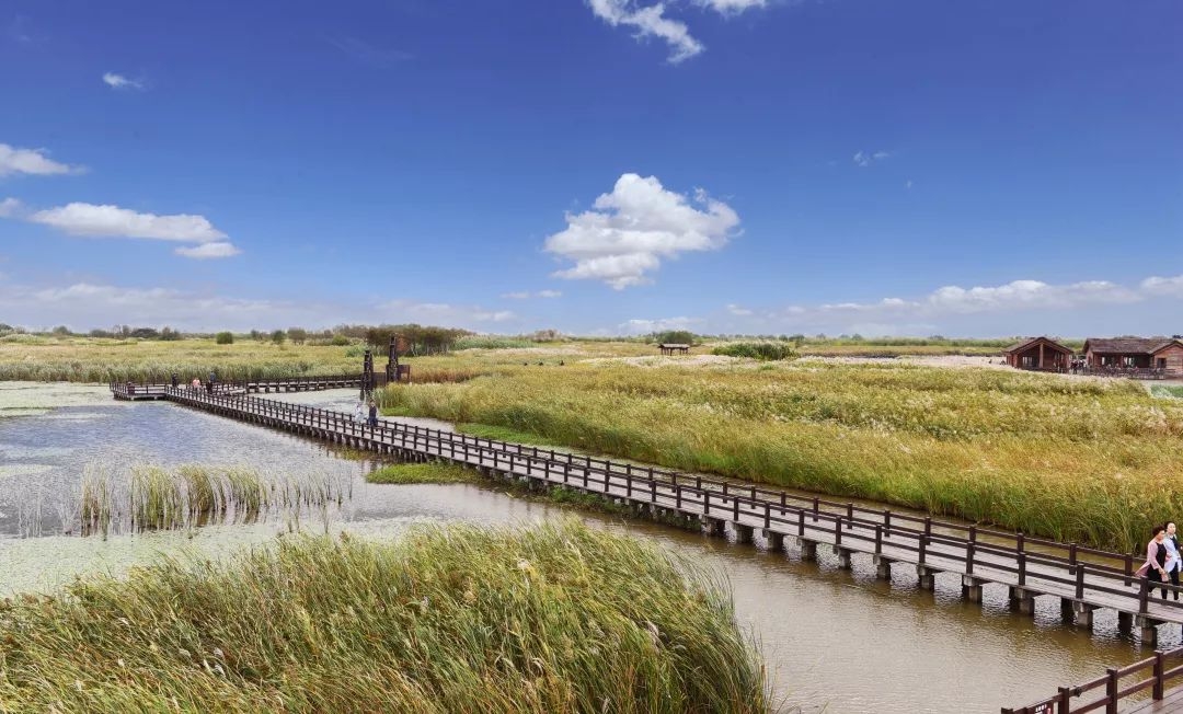 杭州湾医院最新消息,杭州湾医院怎么样了