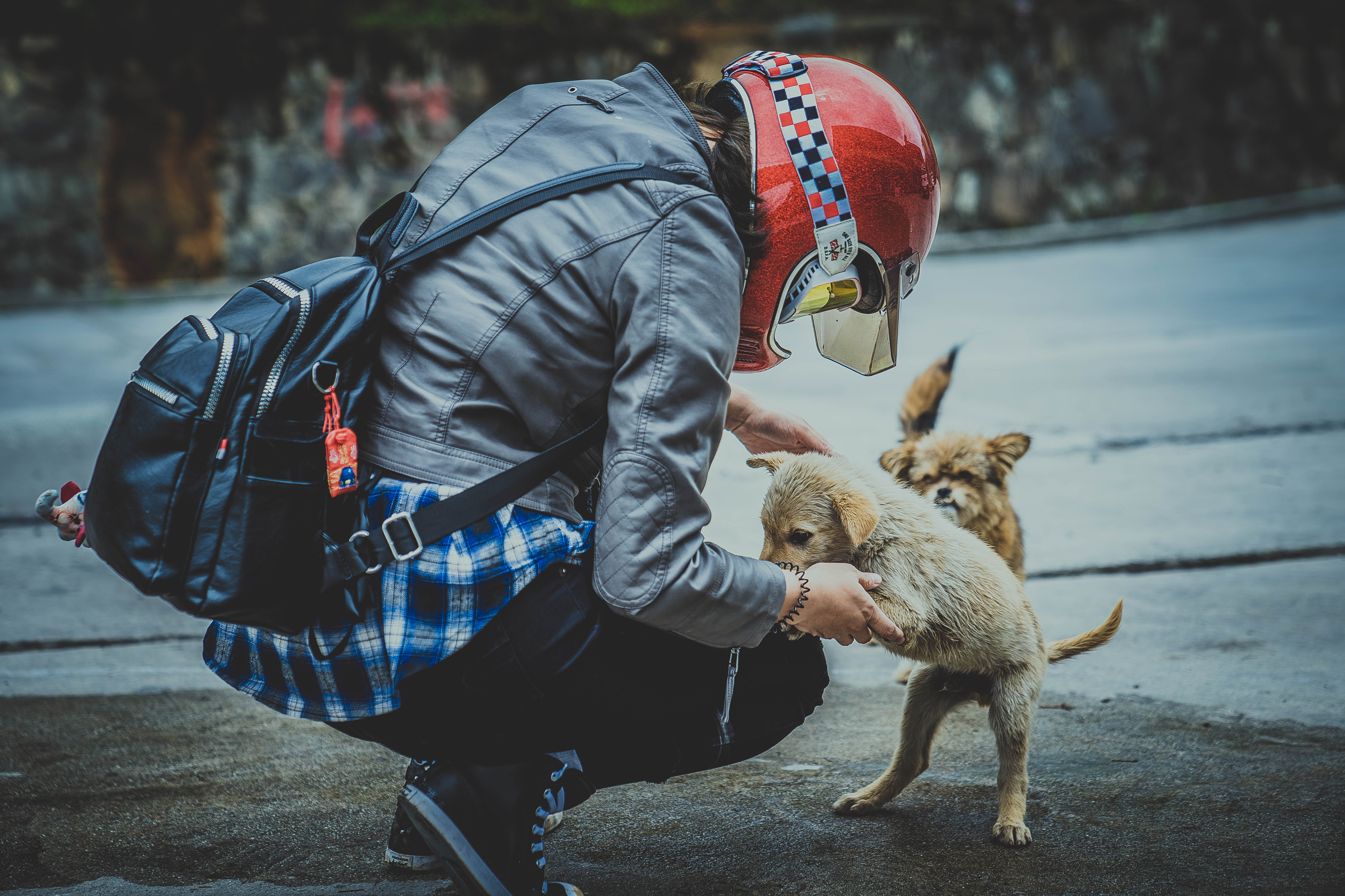 做个真正的骑士,真正的摩旅骑士