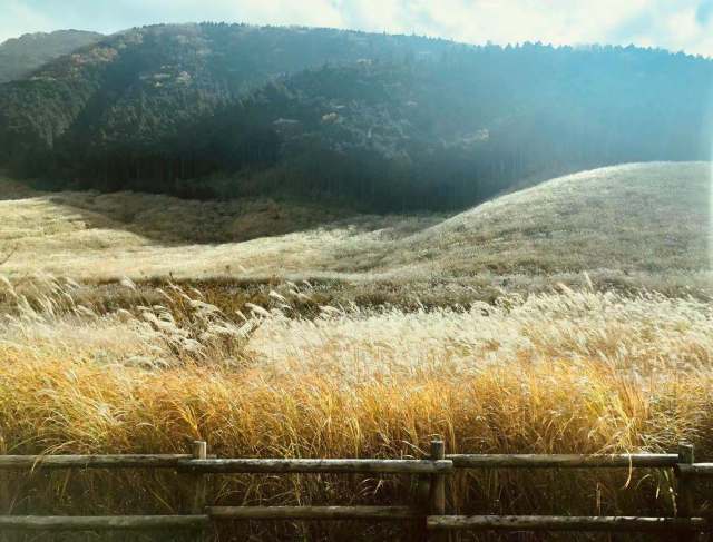 东京到镰仓和箱根攻略,东京箱根富士山镰仓