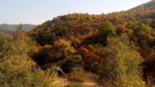 太原周边9条自驾游线路推荐,太原周边有山有水自驾游的地方