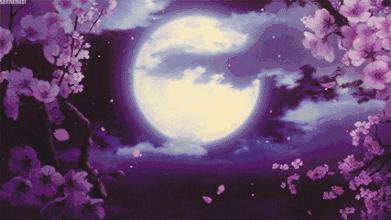 狂欢钜惠来袭,狂欢盛宴重磅惊喜惠全城