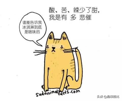 8个关于动物的冷知识,你不知道的二十条动物冷知识