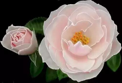 520情人节祝福送上真的太美了,最新的520情人节