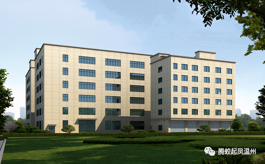 腾蛟镇发展,腾蛟凤巢社区