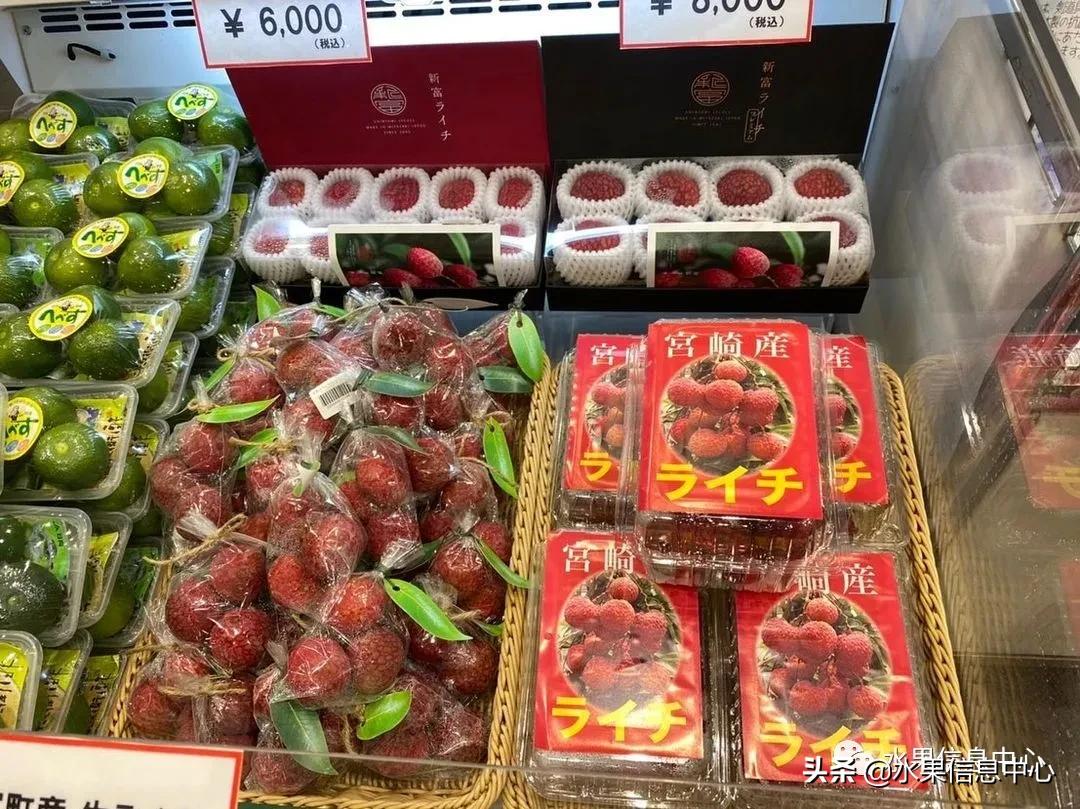 日本农业发达到什么程度?荔枝、香蕉、菠萝竟然用温室来种
