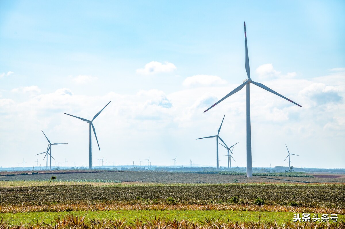 广东湛江这个城市怎么样,广东湛江市是沿海城市吗