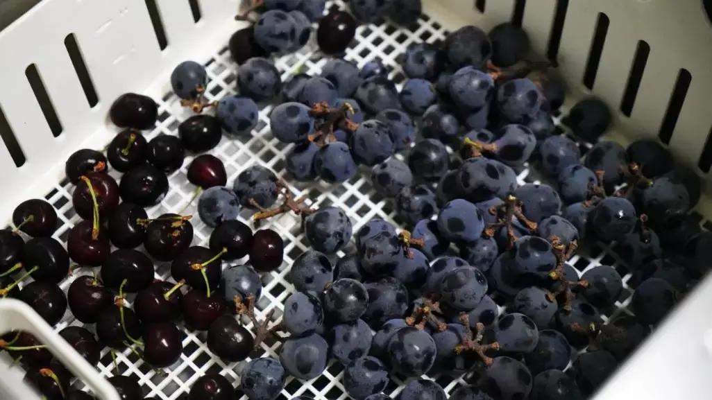 鏂瑰おx1s娴嬭瘎,鏂瑰おx1s浣撻獙