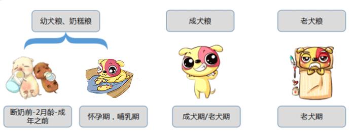 中小型犬狗粮怎么选择才正确,狗粮怎么选大型犬吃得最好