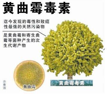 你对脚气、皮癣的致病菌了解多少?