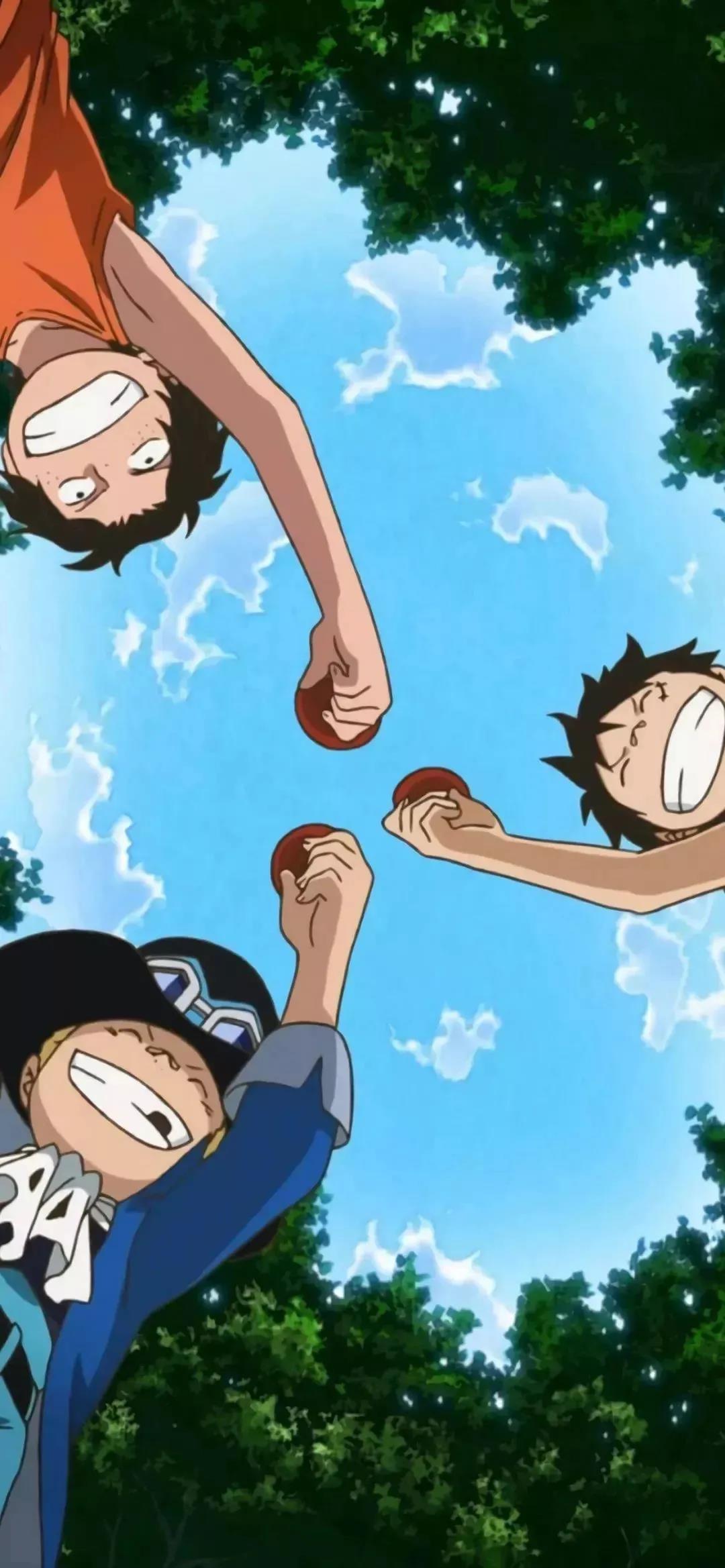 高清海贼王动漫壁纸,壁纸海贼王电脑壁纸