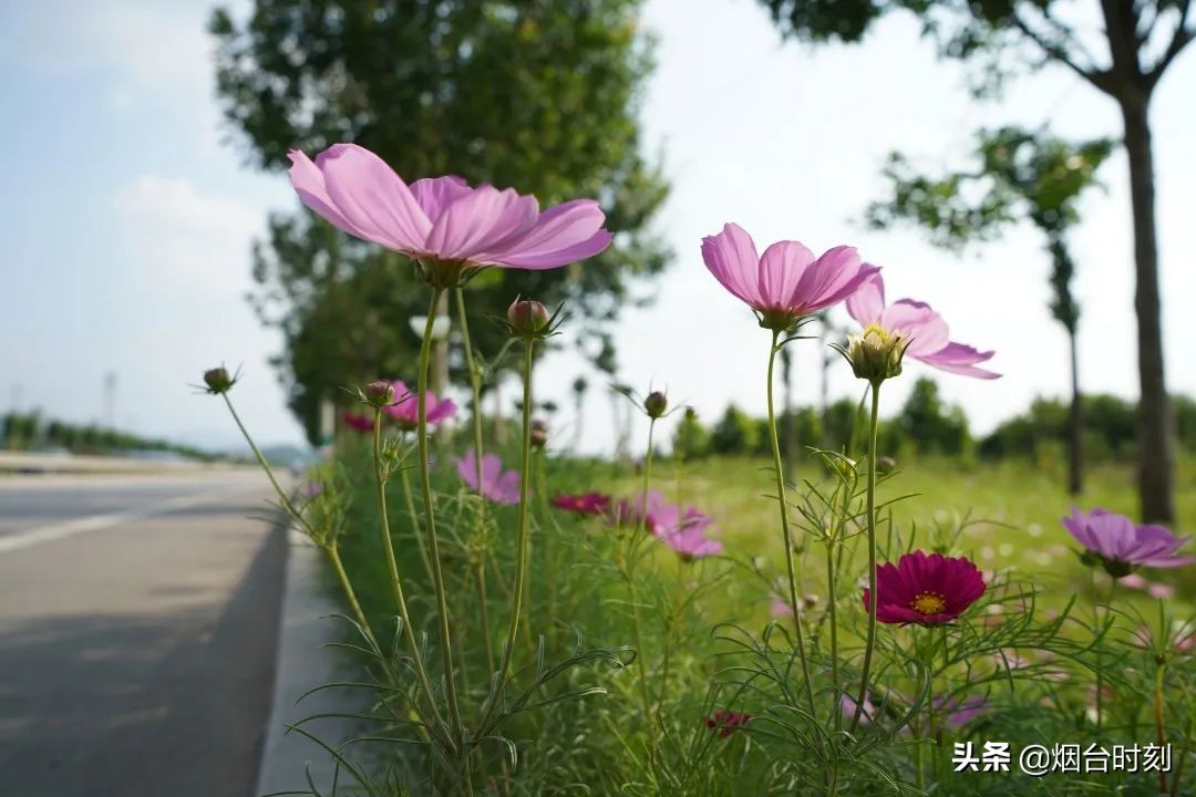 兰州民生工程最新进展,重点民生项目进展清单