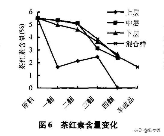 古树普洱茶山头排名,古树普洱生意好吗