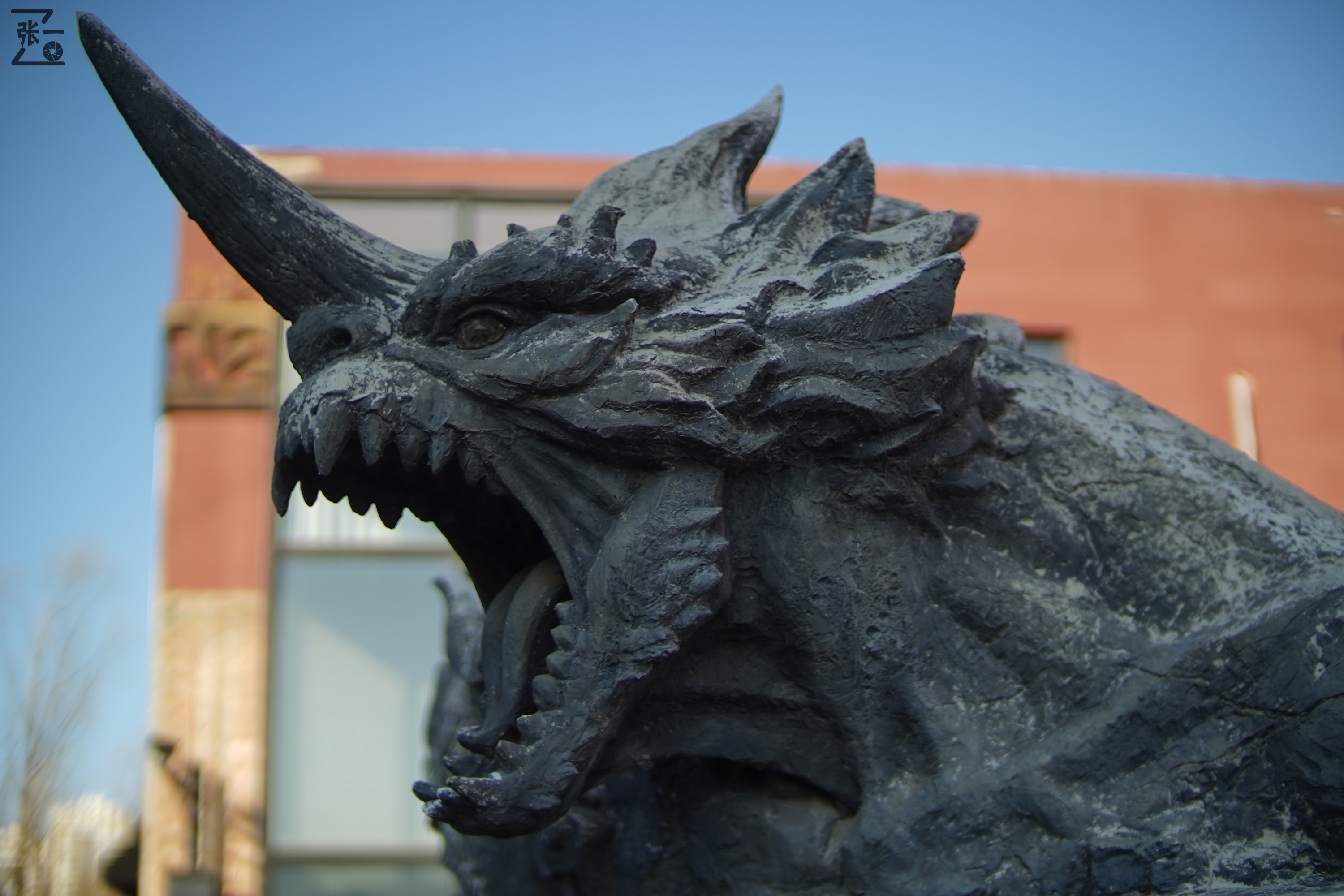 中国产微单,24-135镜头索尼