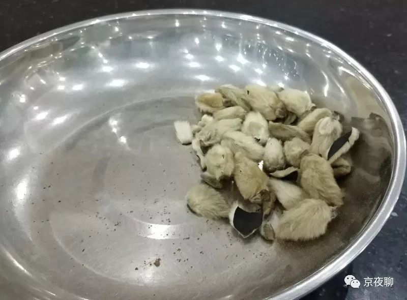 张虹｜玉兰花香且可食