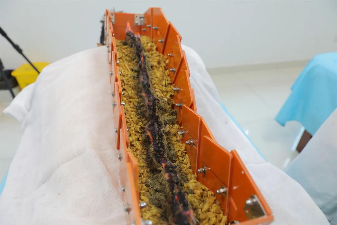 探访省中医院中医传统特色疗法中心