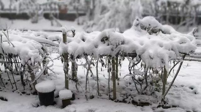 中国近代的大规模饥荒时间,中国哪里没有发生过饥荒