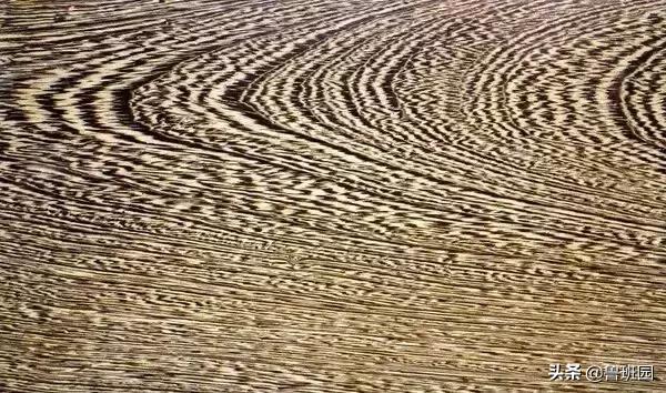 鸡翅木扫帚有何寓意,鸡翅木醒狮寓意