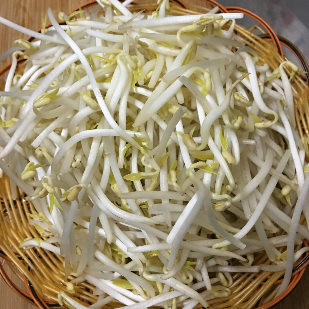 生豆芽新方法不长根的小妙招,怎样在家生豆芽简单的方法