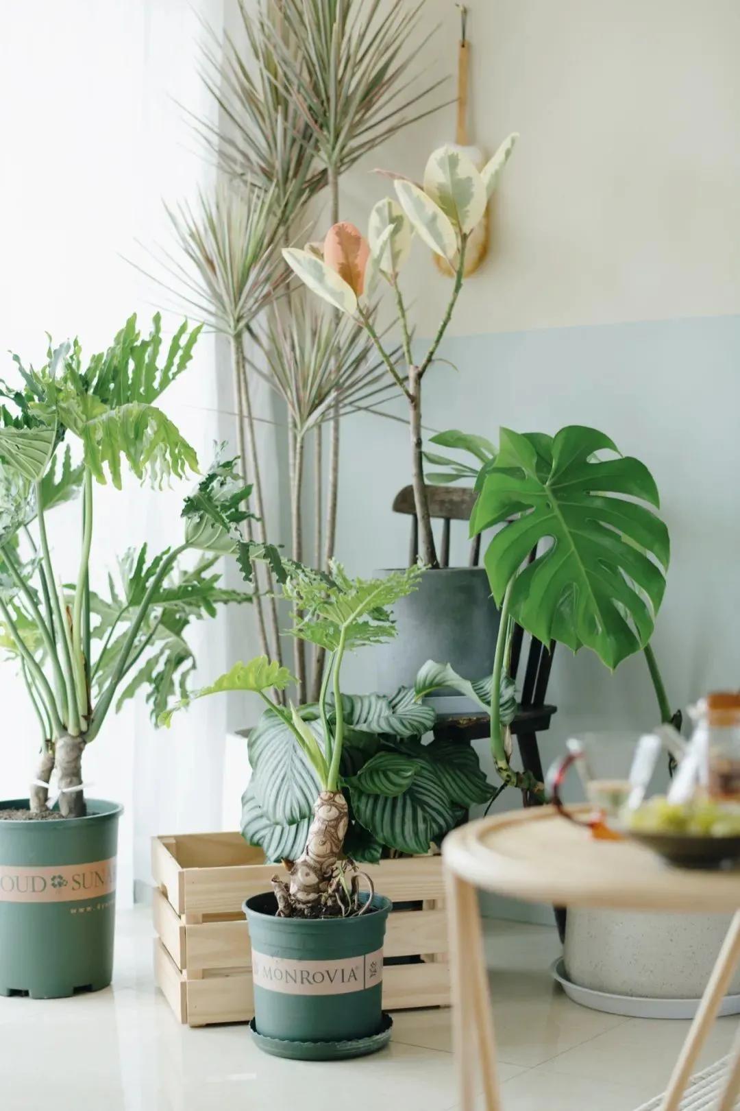 杭州女生老破小装修改造,装修漂亮女工