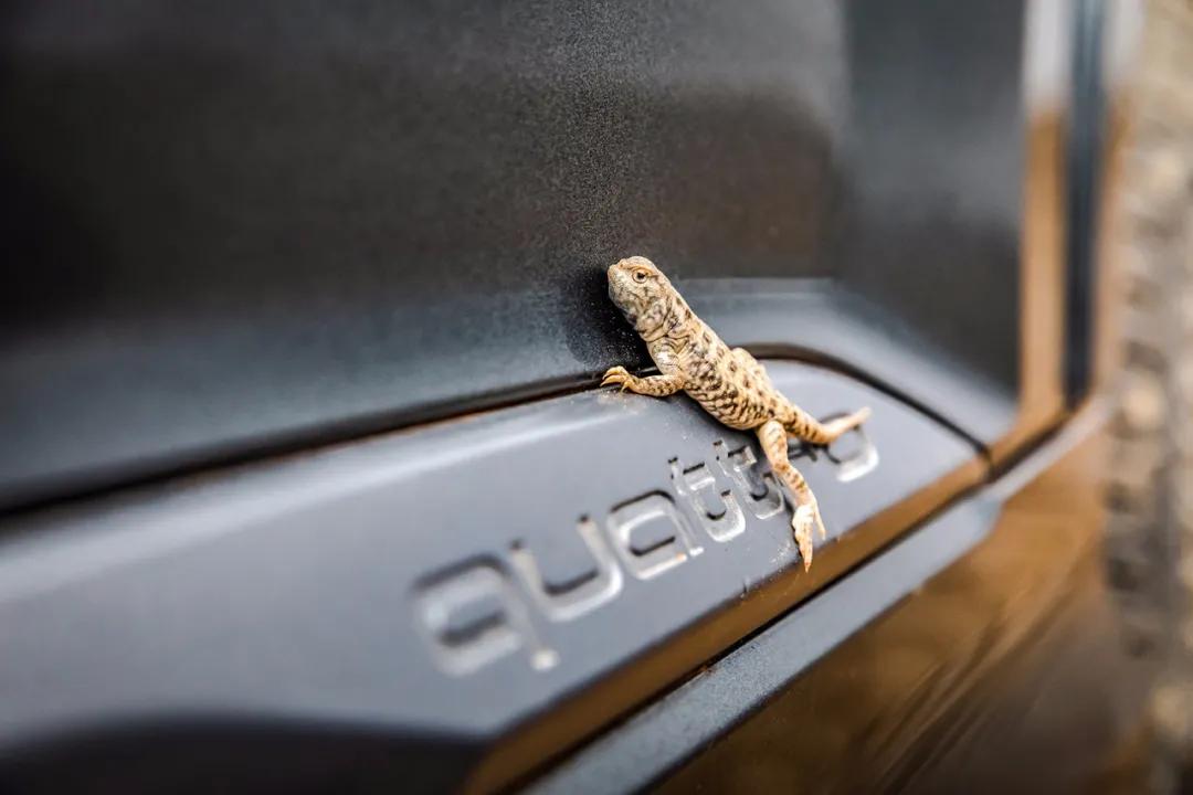 奥迪q7100万公里,10款奥迪q7百公里加速