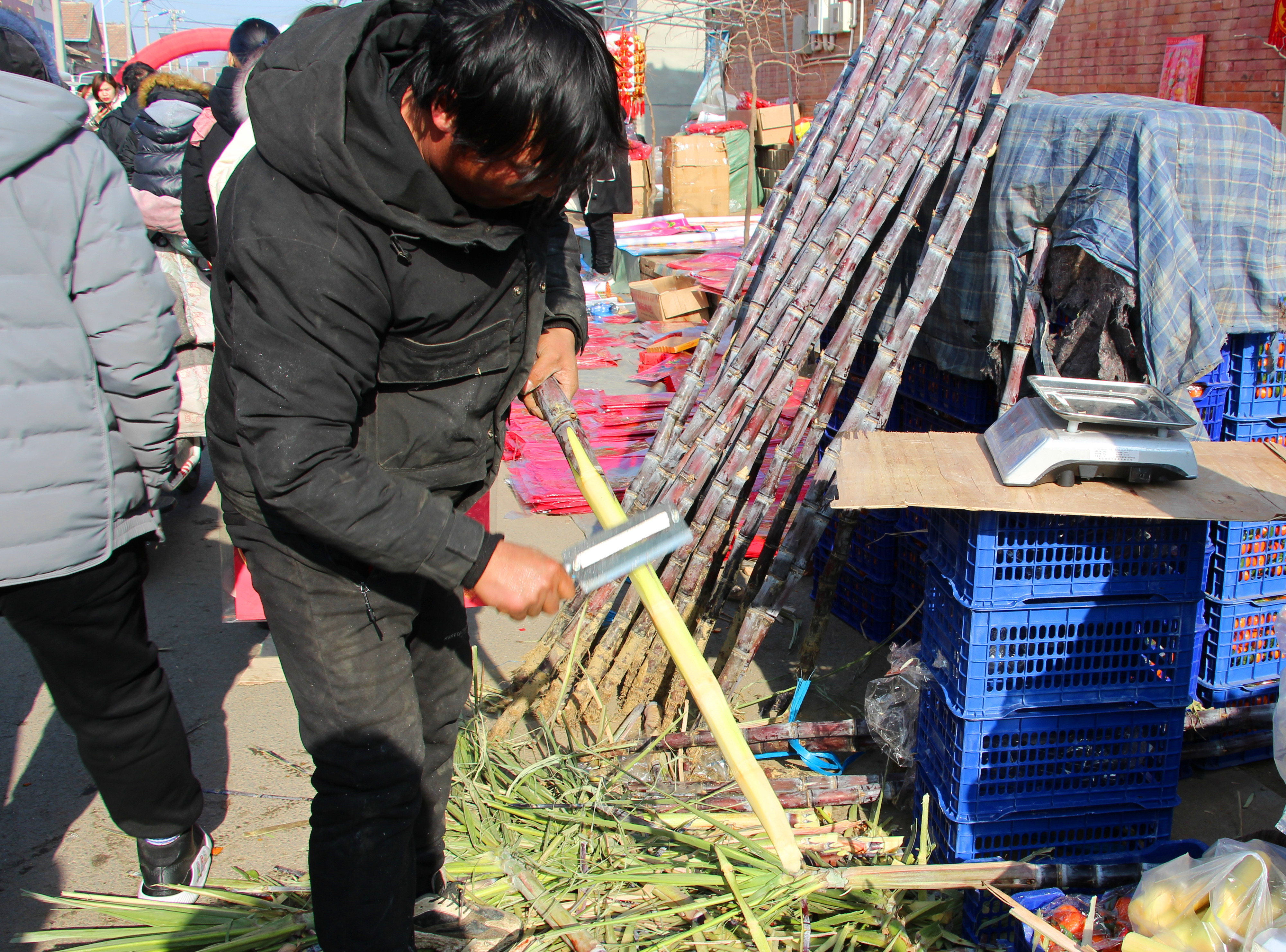 天津市武清区泗村店镇太子务村赶大集