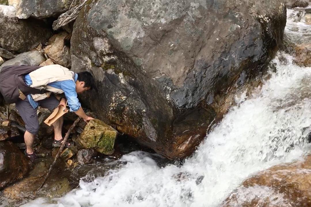 吃毒菇、睡蛇窝,只为挖一堆草,这个重庆博士要做当代神农