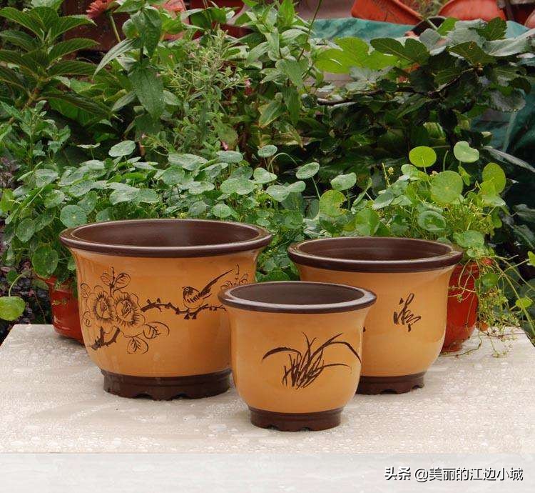 想要养好花就得配好土,想要养好花这一步最关键