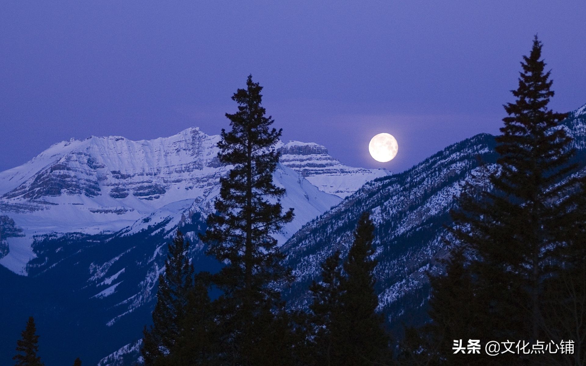 李白的一首千古绝唱,李白的四句诗大全