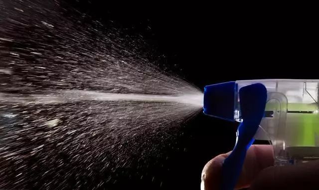 狗狗身上跳蚤反复出现怎么办,狗狗身上有跳蚤有什么处理方法