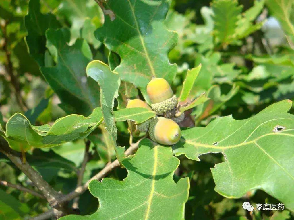 染发皮肤过敏应该用什么药物治疗,皮肤过敏对症下药