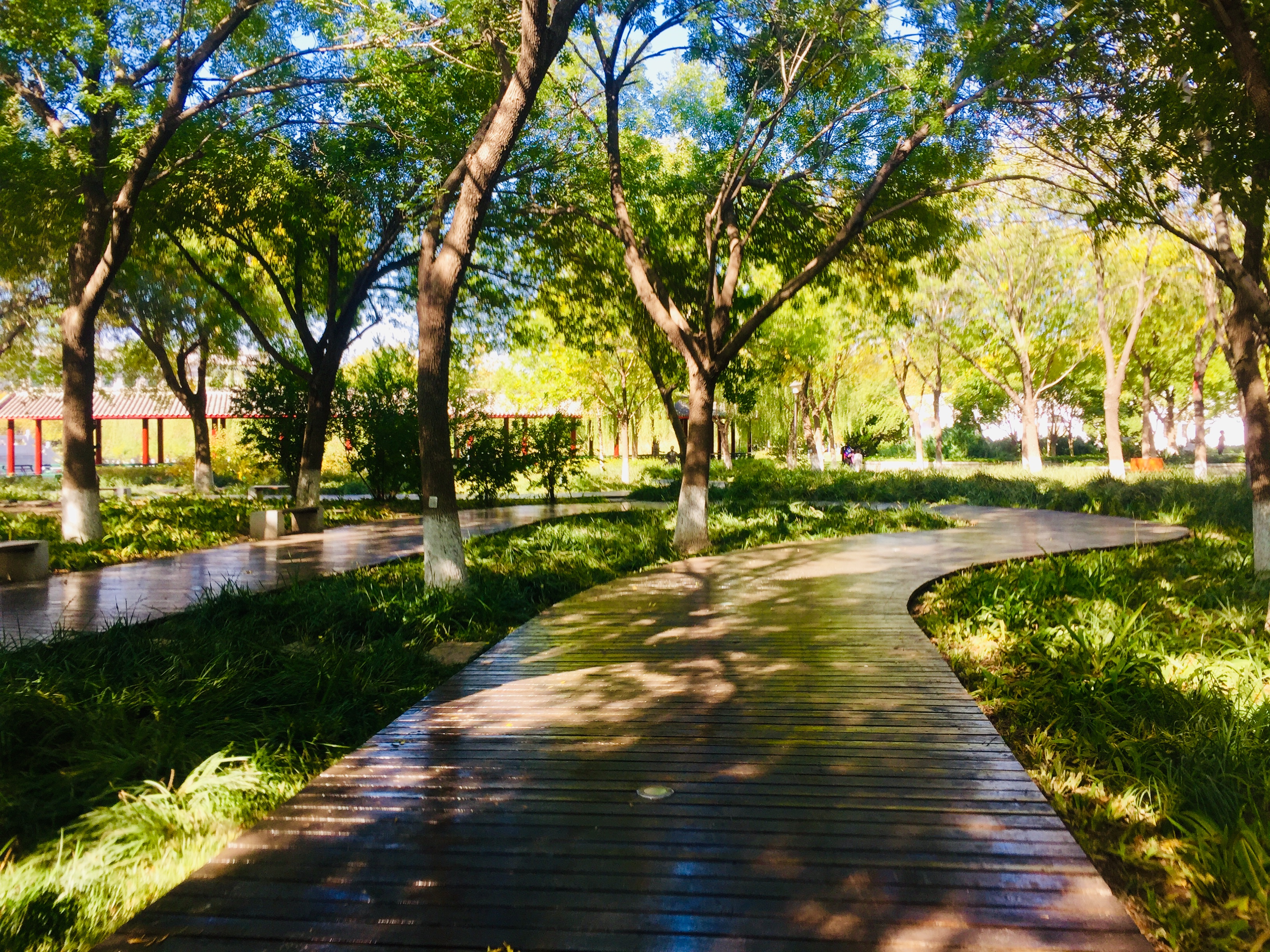 天津森林公园儿童乐园项目介绍,滨海新区适合带孩子玩的公园