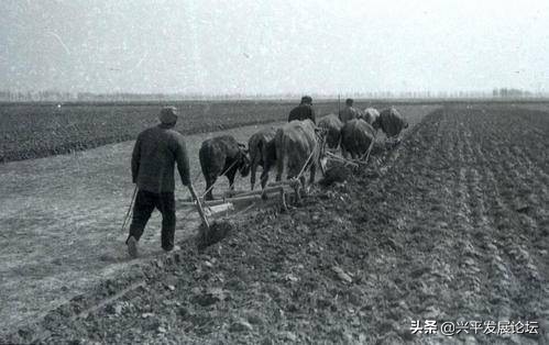 回忆过去珍惜现在展望未来,回忆过去珍惜现在的句子