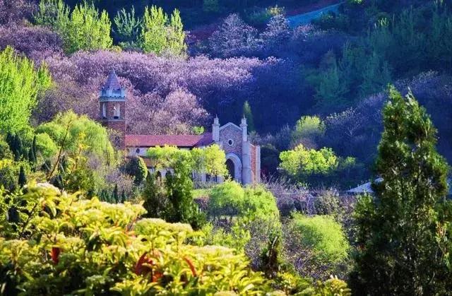 郑州上街区会扩区么,郑州为什么弄个上街区