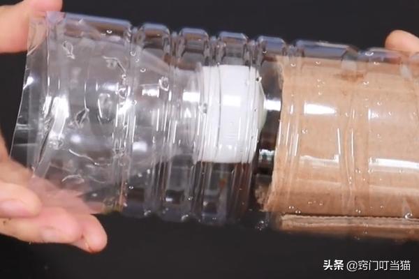 怎么灭蟑螂成功率最高,灭蟑螂误区及正确的灭蟑螂方法