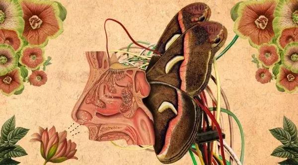 棣欐皼鍗佷簩鏃惰景鐜╂硶,鍗佷簩鏃惰景棣欐皼