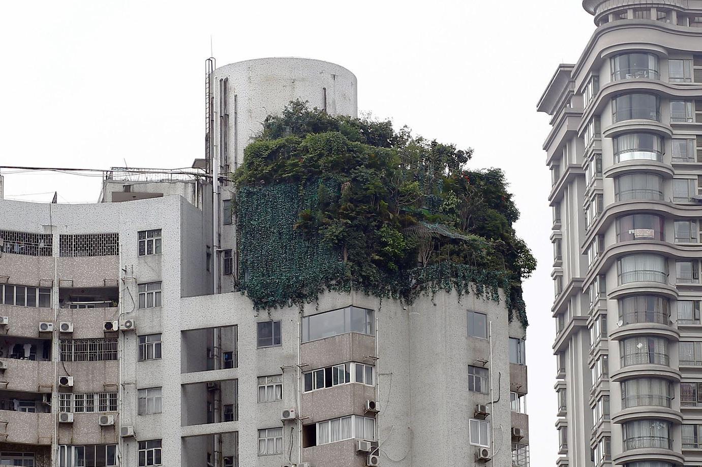 房子楼层一般要多高,不管房子有多少层买房首选哪几层