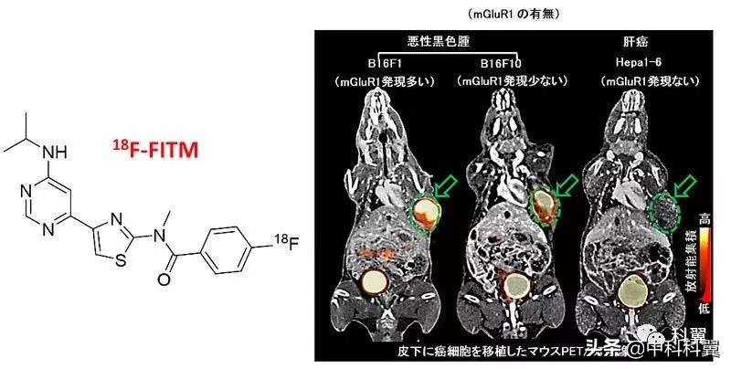 针对恶性黑色素瘤的靶向同位素治疗候选药物211At-AITM