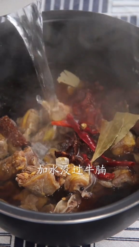 牛身上的哪个部位细菌多,牛身上最脏的器官