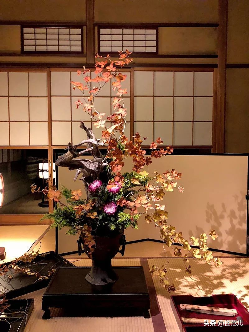 知否知否宋代装修,知否房子装修