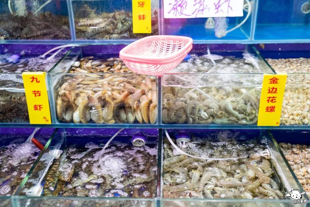 广州沙园菜市场价格,广州沙园菜市场水果