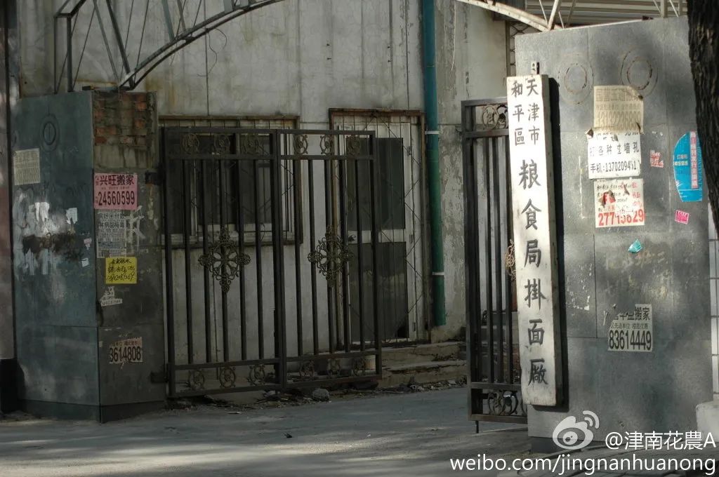 天津和平原味细挂面,津门老字号和平牌细挂面