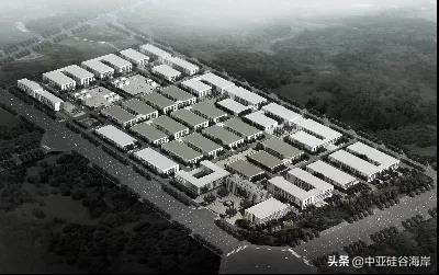 中亚电子城董事长,中亚电子城