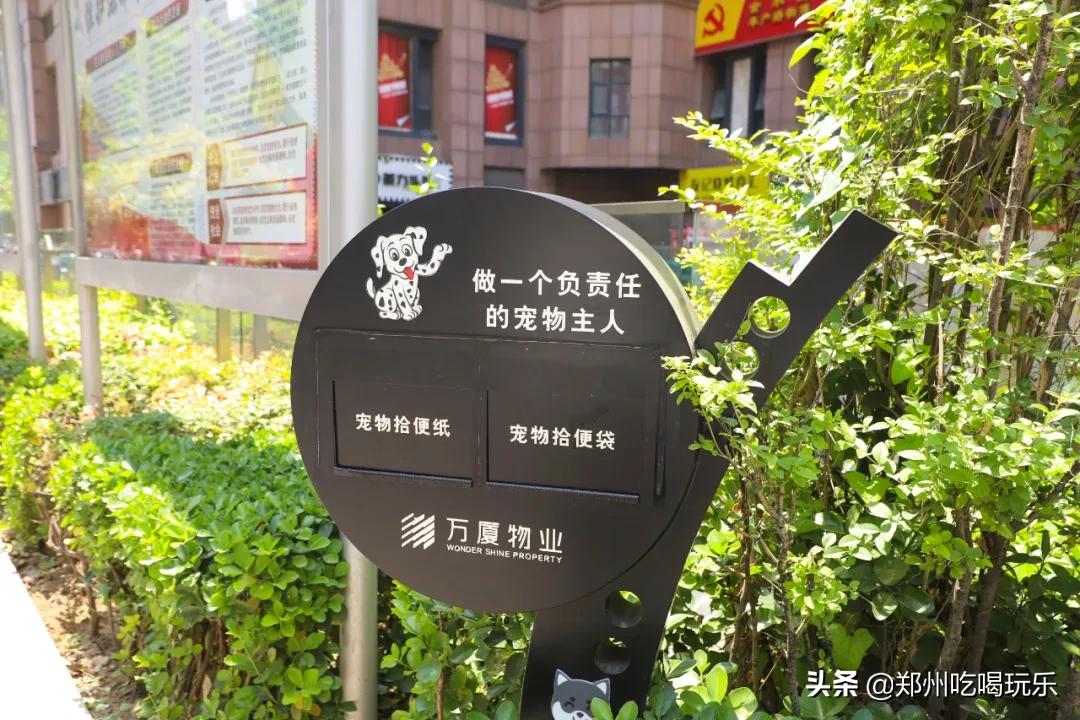 郑漂的生活记录,郑漂的真实生活日记