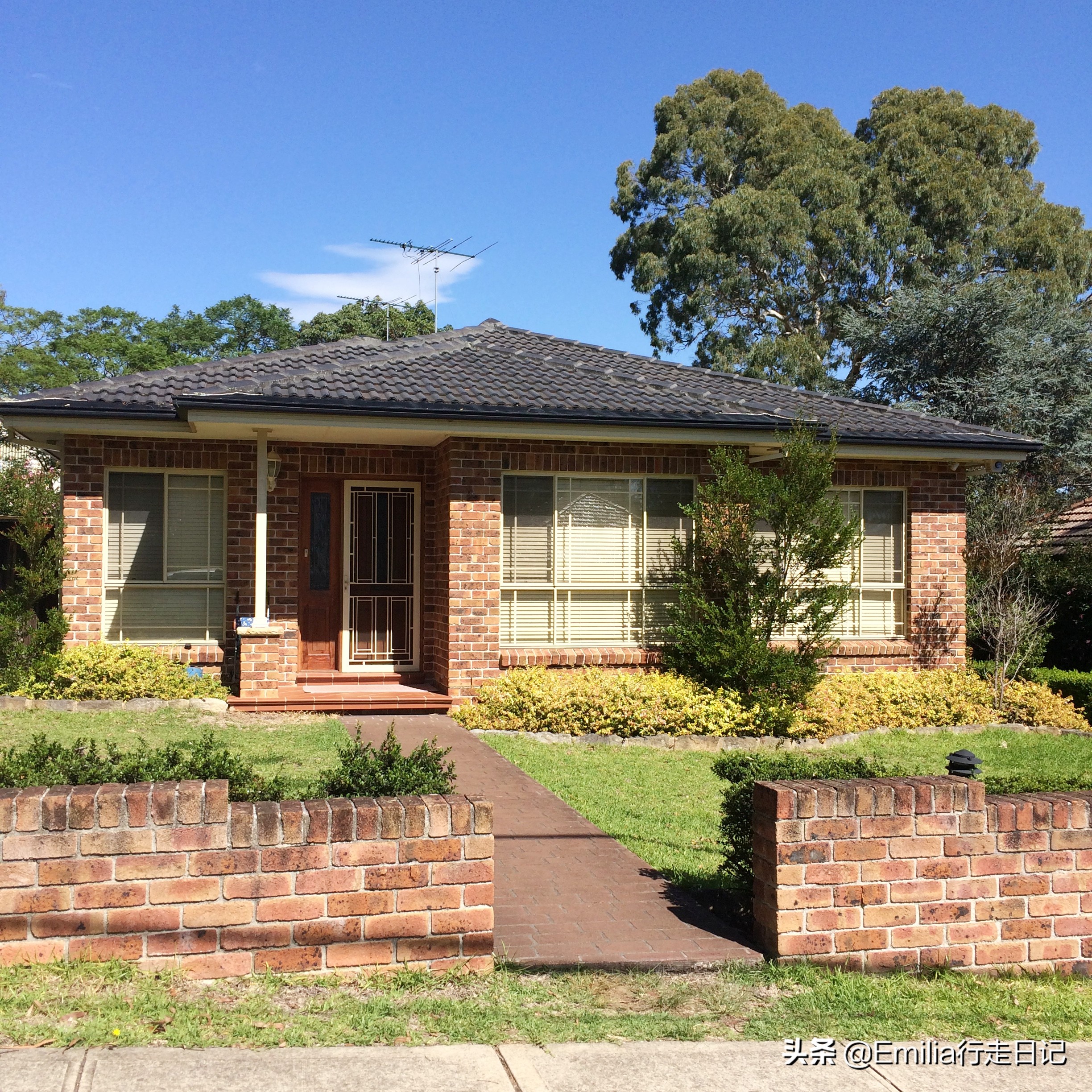 澳洲人居住的真实生活,在悉尼的感受