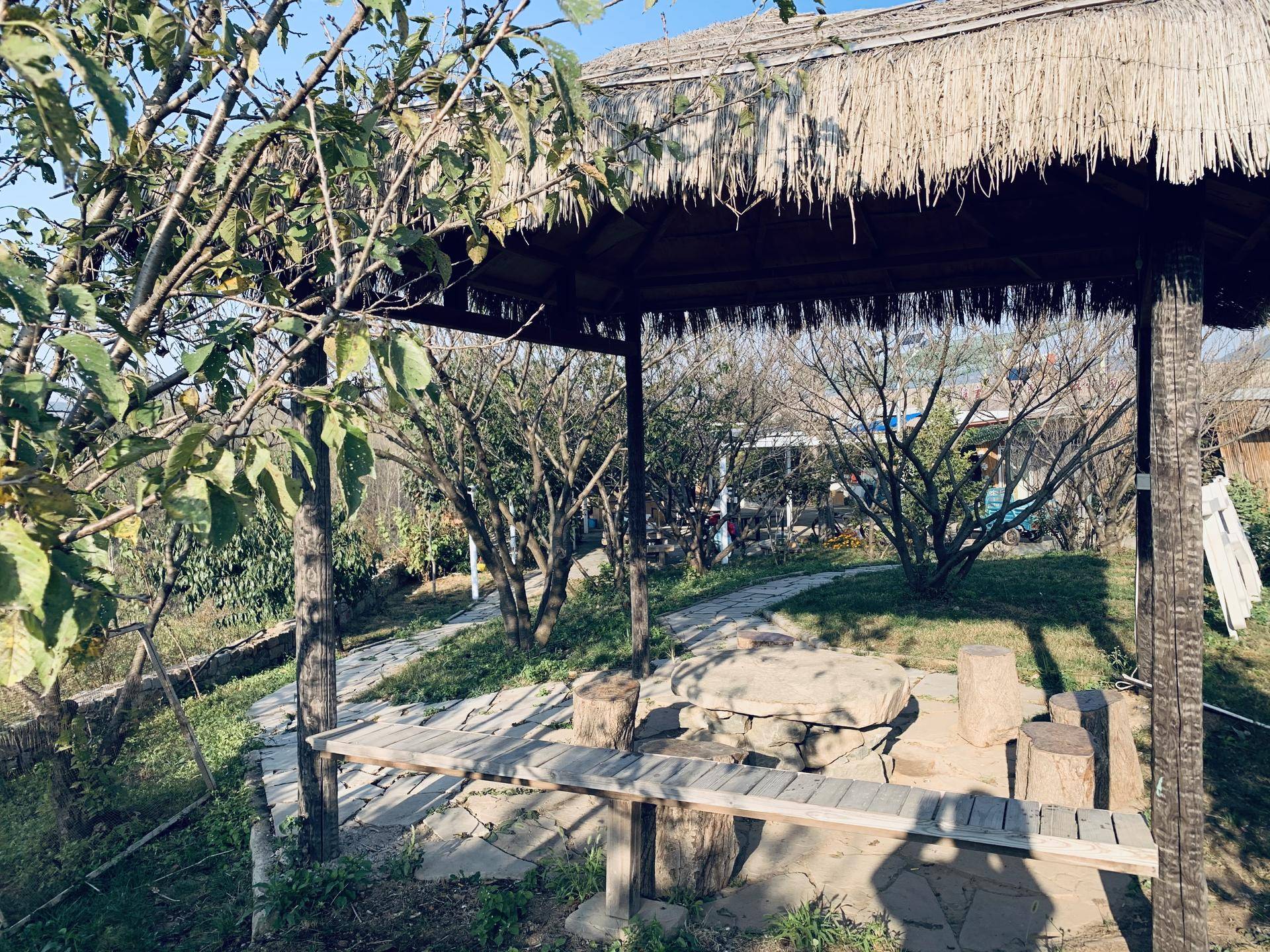 有山有水民宿原生态旅游,有山有水有云民宿名字