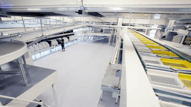 thesting完整版,thesting