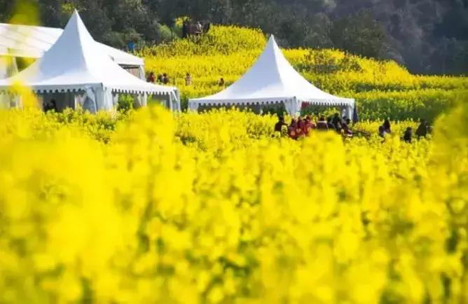 您有一份邀请函请查收,您有一份新的工作请查收