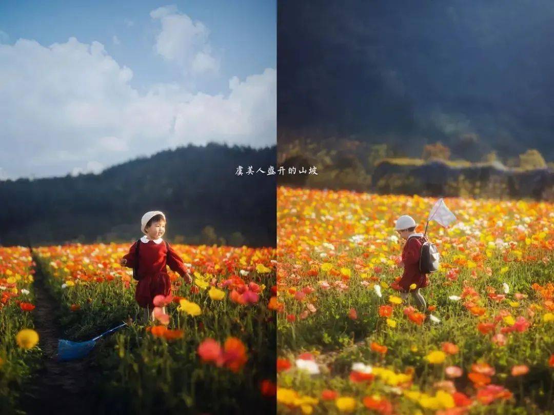 初学者买佳能单反相机怎么选购,手把手教你购买电脑