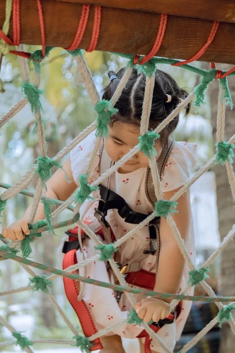 三亚海棠湾喜来登酒店,三亚海棠湾喜来登酒店自助